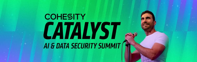 Cohesity Catalyst